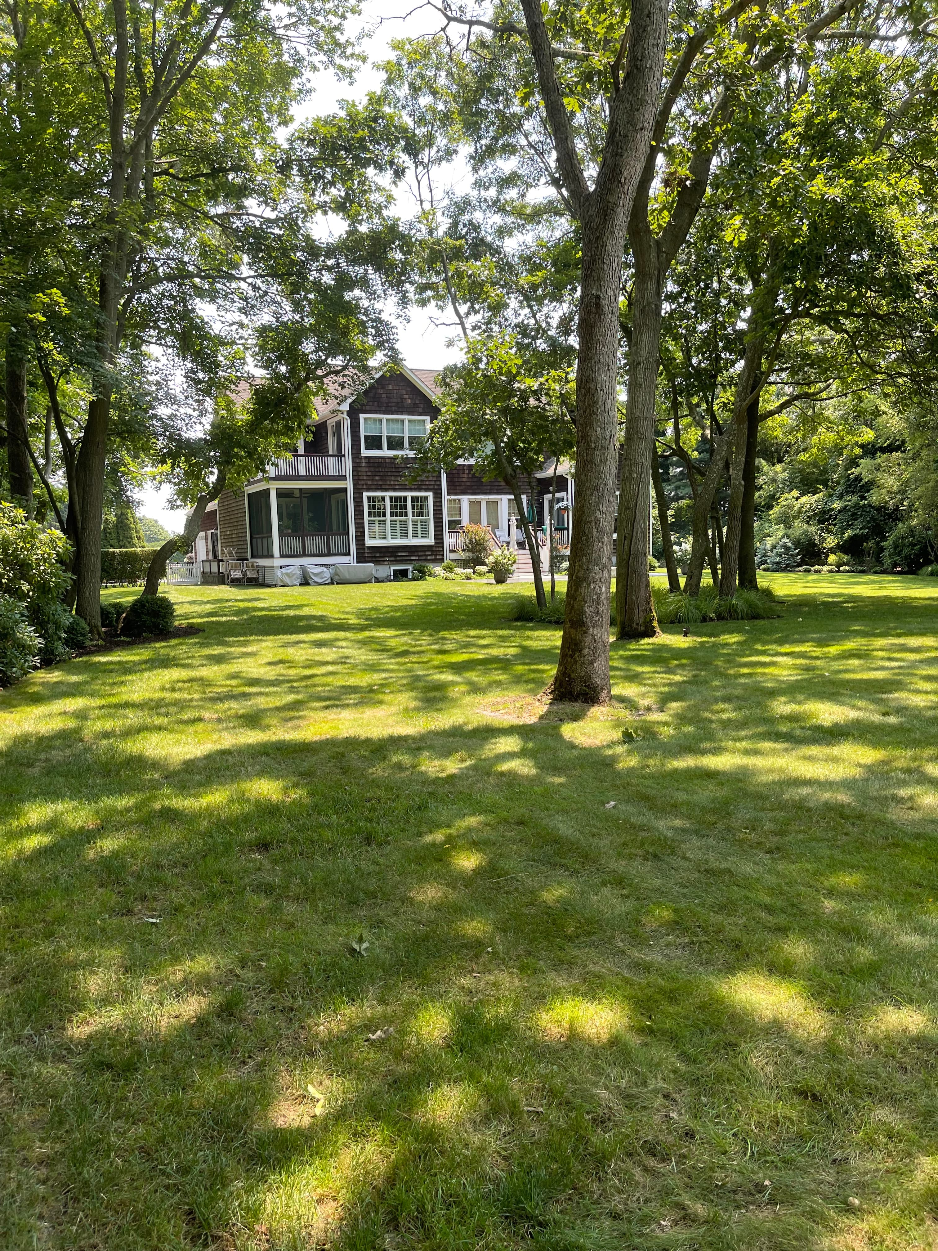 Large house with white trim viewed through tall trees across a sun-dappled, green grassy lawn.
