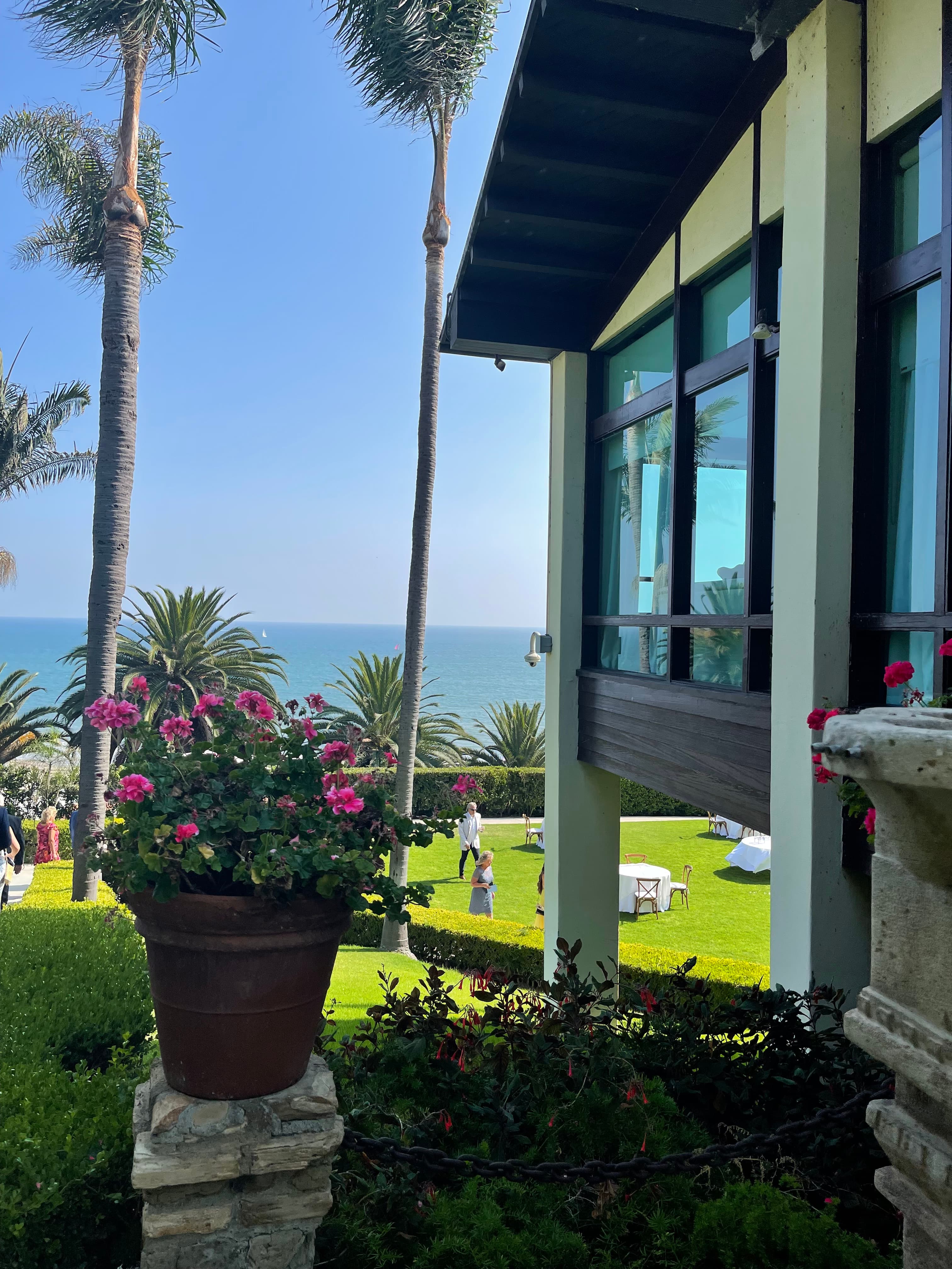 Potted pink flowers on a terrace overlooking a coastal lawn, palm trees, and ocean.