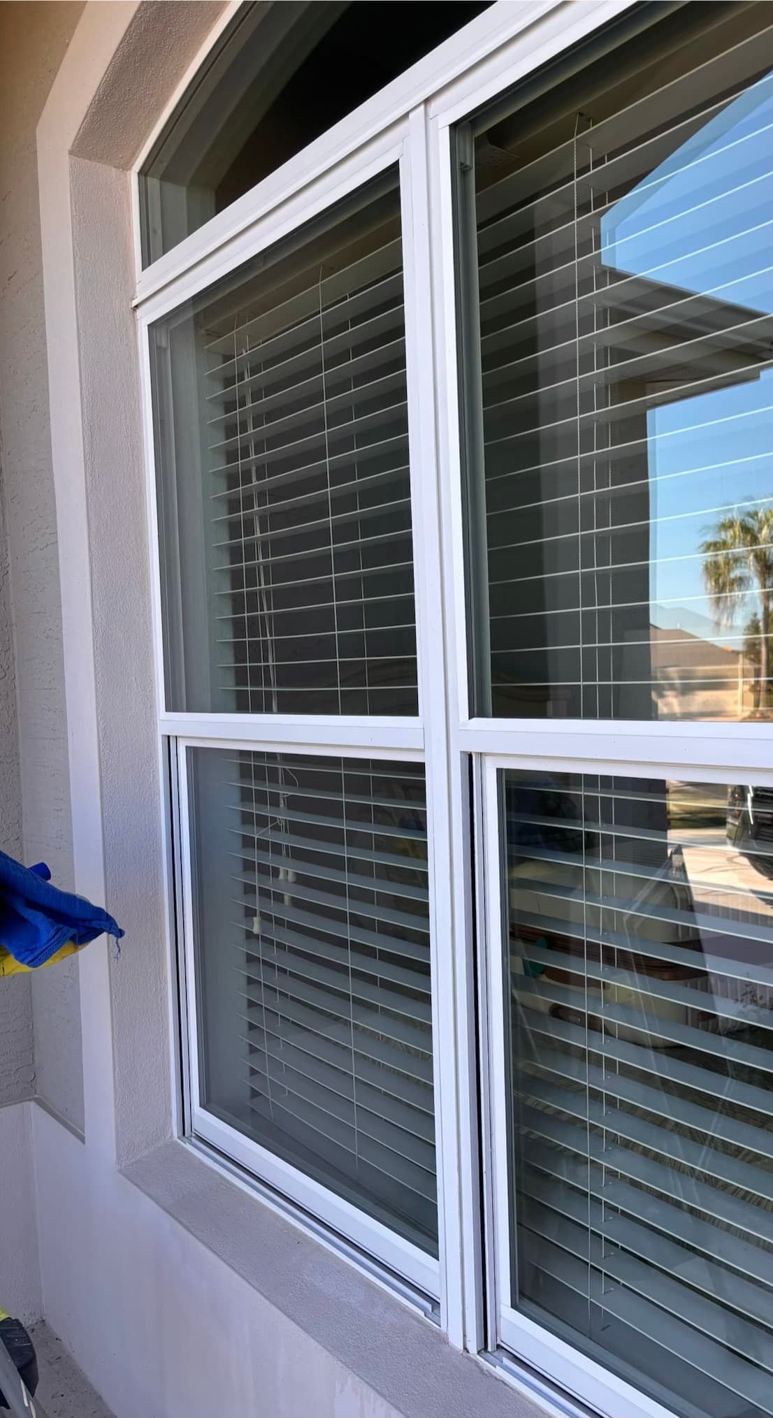 White window frame with horizontal blinds, reflecting a sunny outdoor scene and a palm tree.